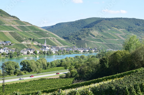 Blick auf Zell an der Mosel, Weinberge und Teile der Moselshcleife photo