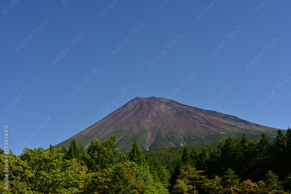  Mt.Fuji and Buckwheat flower.