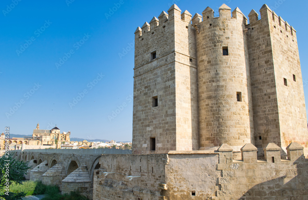 Torre y puerta de Calahorra , puente romano