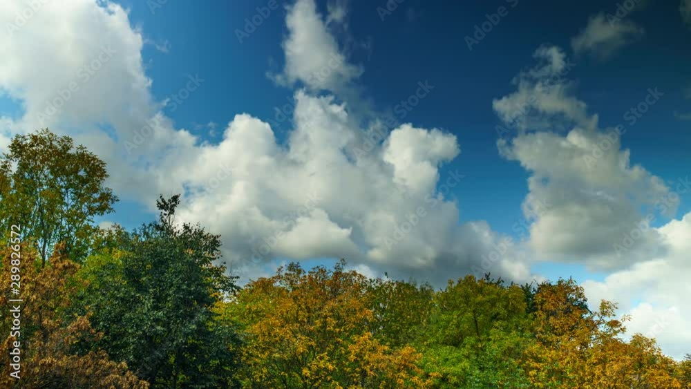 Fast-moving clouds over autumn deciduous forest with yellow foliage. Autumn Forest Time Lapse. Fast-moving clouds over autumn deciduous forest with yellow foliage. Autumn Forest Time Lapse.
