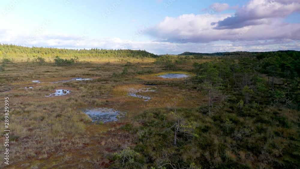 Deepest swamp area of Finland at Torronsuo National Park captured with a drone as aerial view Deepest swamp area of Finland at Torronsuo National Park captured with a drone as aerial view