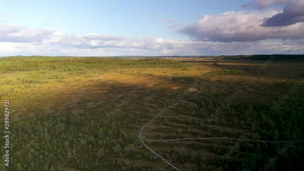 Deepest swamp area of Finland at Torronsuo National Park captured with a drone as aerial view Deepest swamp area of Finland at Torronsuo National Park captured with a drone as aerial view