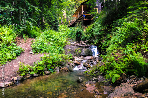 bridge in the park