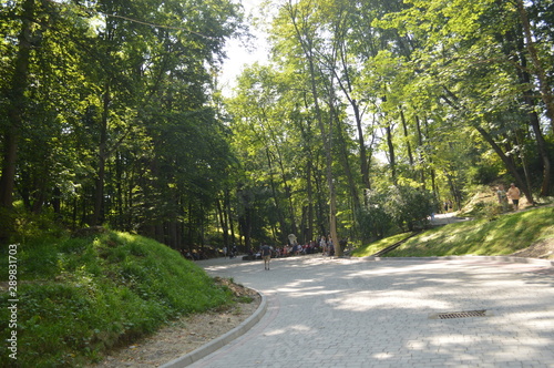 road in the park