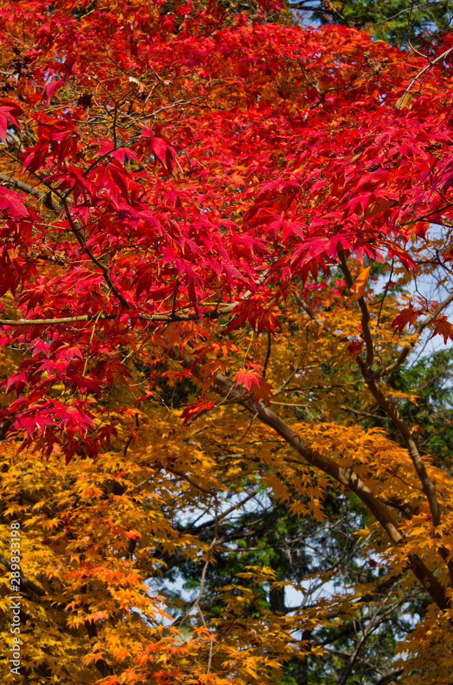 Scenery of around Nanzenji-temple in Kyoto,Japan. Scenery of around Nanzenji-temple in Kyoto,Japan.