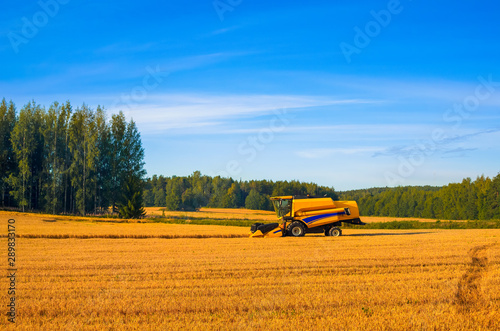 Tractor working in the field with hay to get it dried under the heat of the summer sun. Agriculture field haystack.