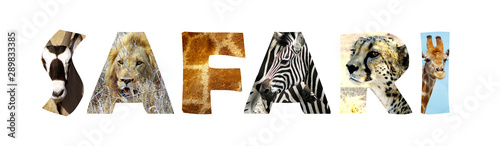 Photography Safari