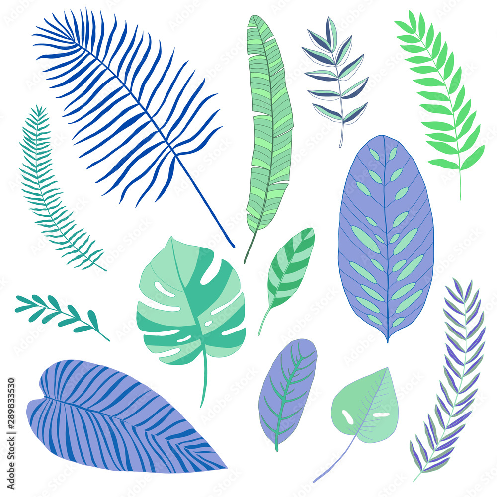 set of abstract tropical leaves, flat design set of abstract tropical leaves, flat design