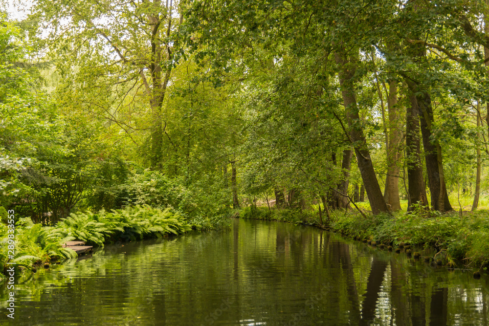 Wasserkanal im Spreewald 