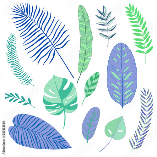 set of abstract tropical leaves, flat design