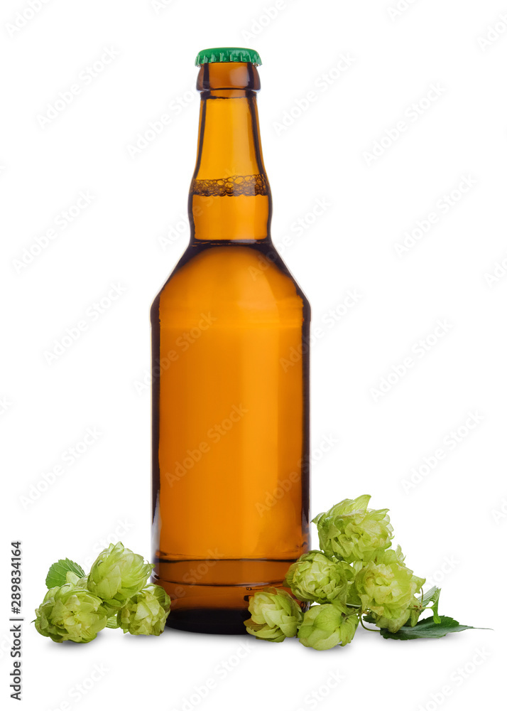 Glass bottle of fresh beer with green hop cones isolated on white background.