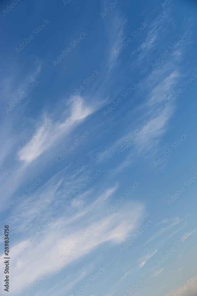 Fantastic soft white cloud against blue sky background soft focus Fantastic soft white cloud against blue sky background soft focus