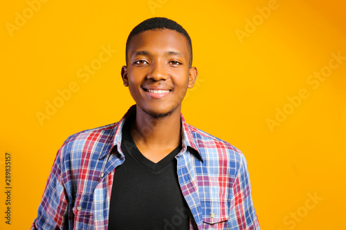 Young handsome man of african american ethnicity wearing checkered shirt posing over isolated background. Portrait of stylish confident male in casual outfit. Close up, copy space. © Evrymmnt