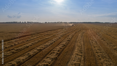 Agriculture in the TRANS-Ural region of Russia, harvesting