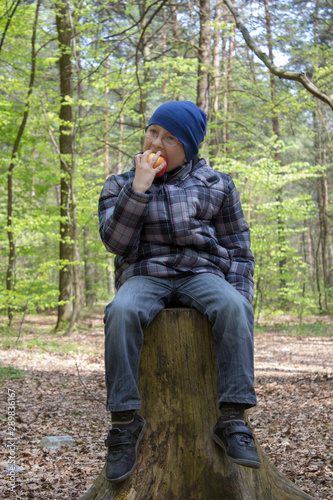 boy with an apple in the forest,boy on a stump bites an apple