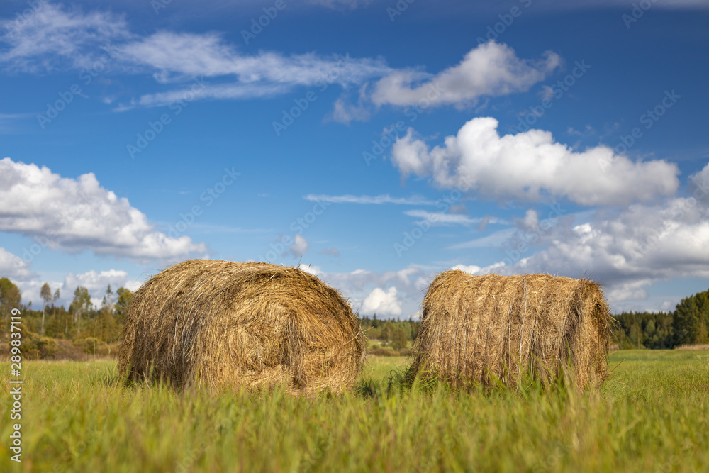 Stacks of straw on the field. Sunny weather. Blurred background Stacks of straw on the field. Sunny weather. Blurred background