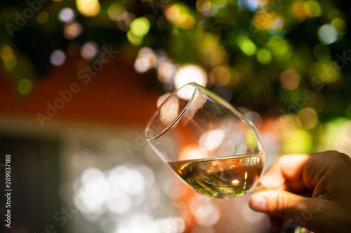 a glass of wine on the vines during harvest.