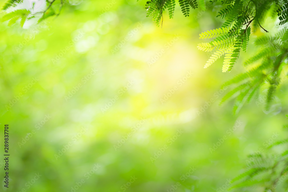 Green nature background.