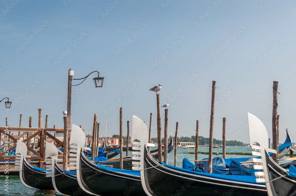 Traditional Venetian gondolas at pier. Travel Italy tourism background