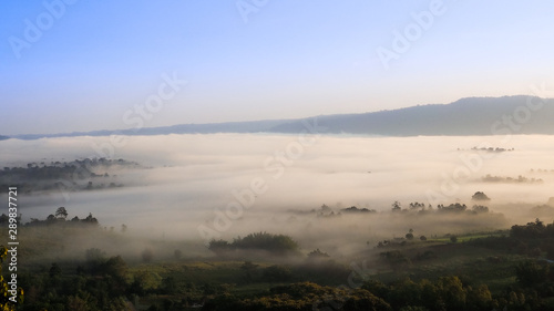 panoramic view of fog