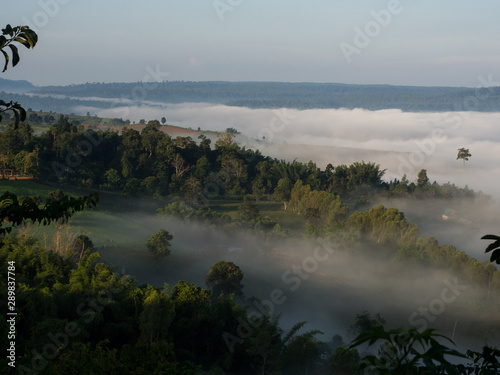 panoramic view of fog