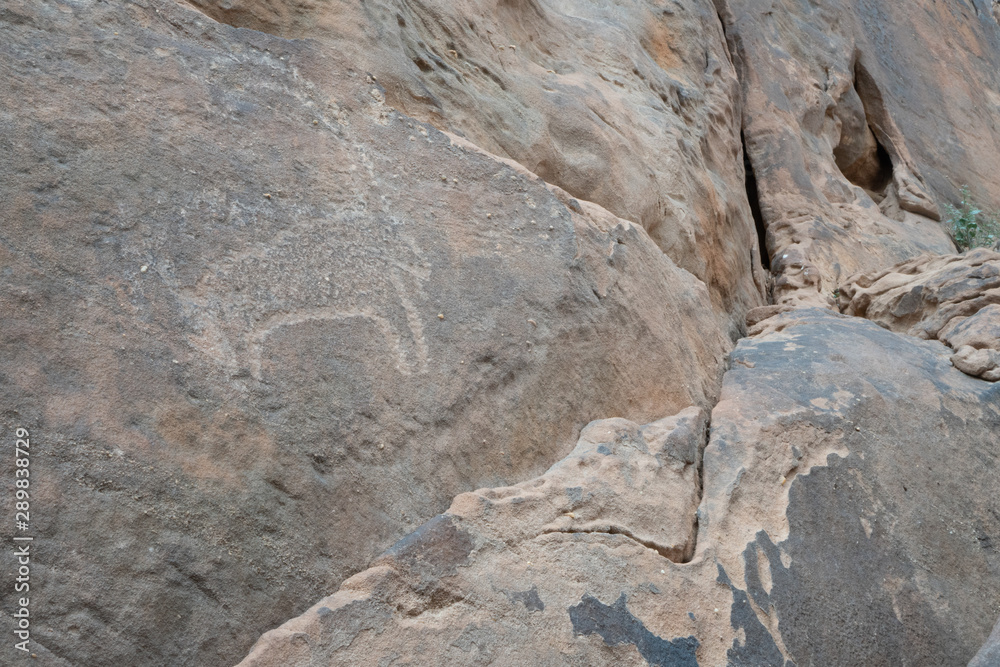 Ancient cave paintings / rock art in Ha'il Province in Saudi Arabia (world heritage site)