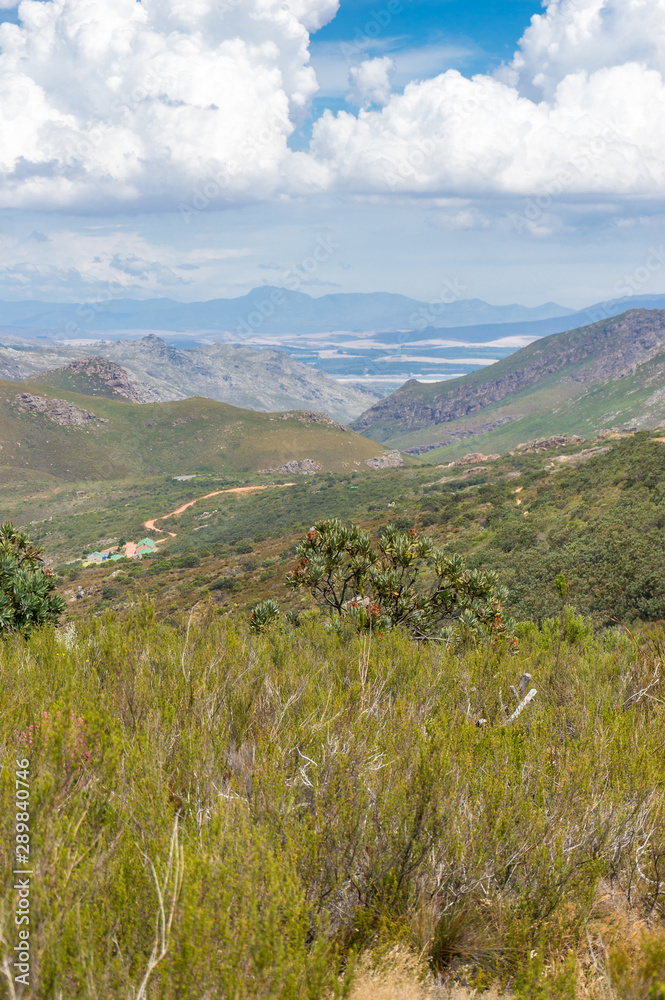 Scenic mountain landscape. Mountain valley with fynbos nature background
