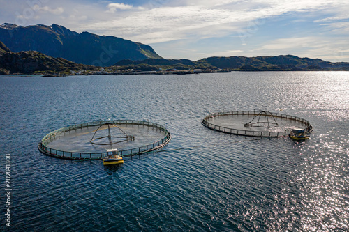 Farm salmon fishing in Norway photo