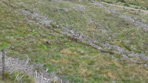 Wunderschöne Natur und Landschaft in Schottland in den Highlands photo