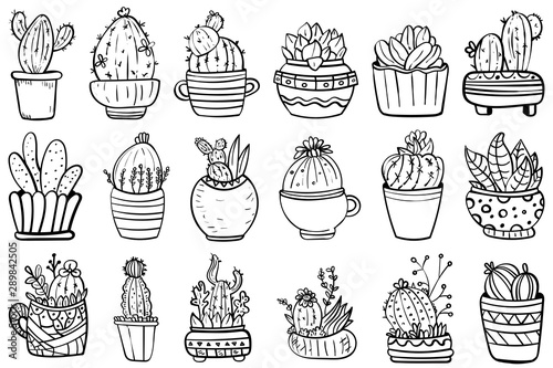 Big Set Of Cactus And Succulents. Vector collection with flowers, cacti, and succulents. - Vector.