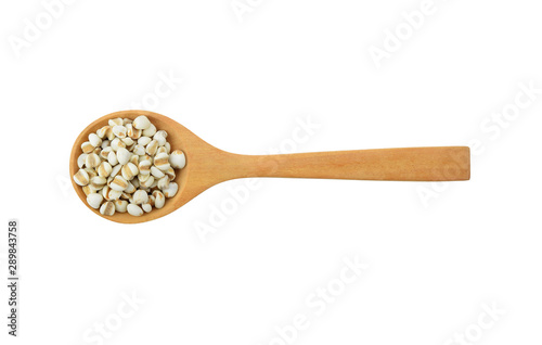 Millet in spoon isolated on white background