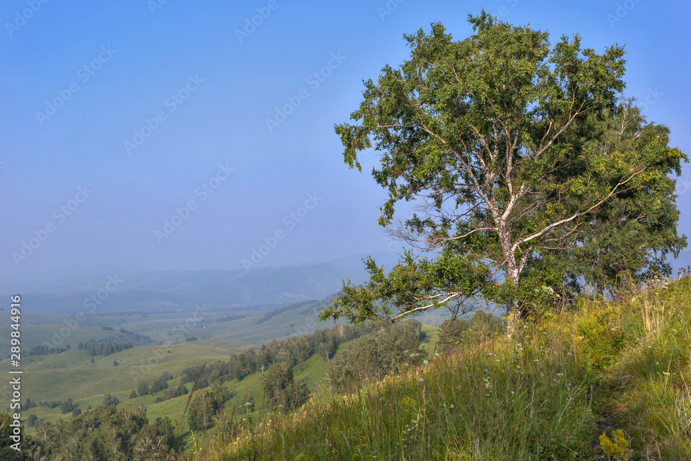 landscape in Altai mountains