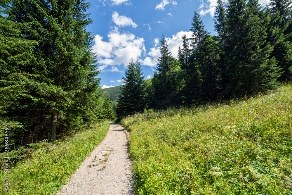 Fototapeta premium Jaworzynka Valley in Tatra mountains. Poland.