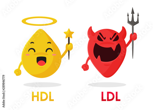 Cartoon cholesterol. HDL and LDL components are good fats and bad fats from food. photo