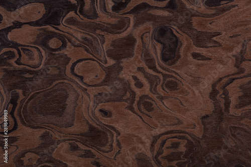 Contrast brown nut veneer background for your elegant design. High quality texture in extremely high resolution. 50 megapixels photo. photo