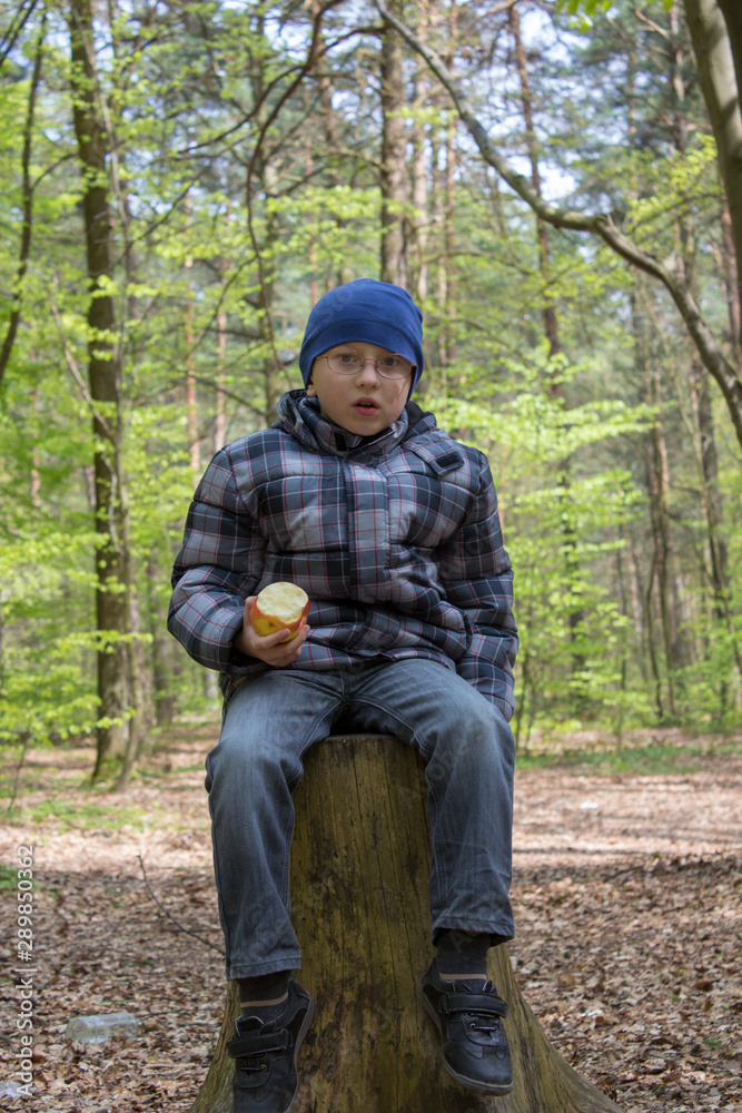 surprised boy in the forest,emotion of a surprised boy sitting on a stump in the forest