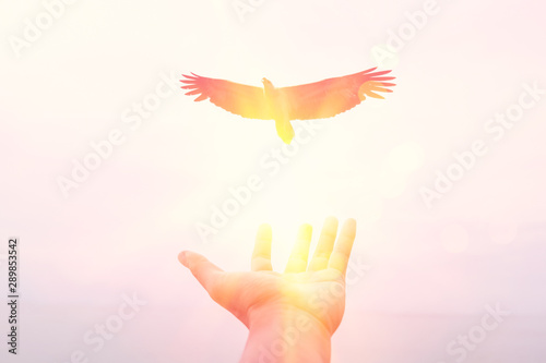 Freedom and feel good conce...
