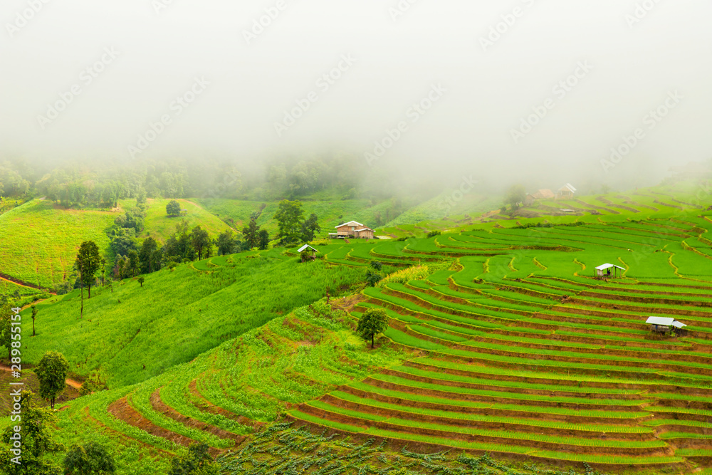 Rice terrace at Pa-pong-peang , Mae Chaem, Chaing Mai ,North Thailand.. Rice terrace at Pa-pong-peang , Mae Chaem, Chaing Mai ,North Thailand..