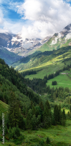 Scenic landscape with green meadows  fir trees and mountains in clouds  Austria