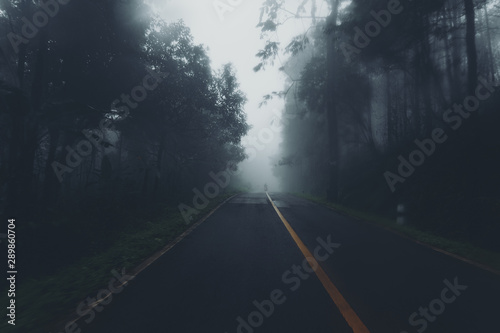 Misty roads in the forest and travel