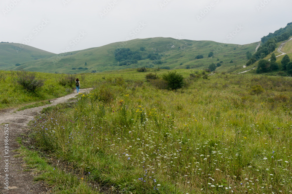 Naklejka premium MouGreen lawn grass landscape in the caucasus mountains near kislowodsk, raw original picture