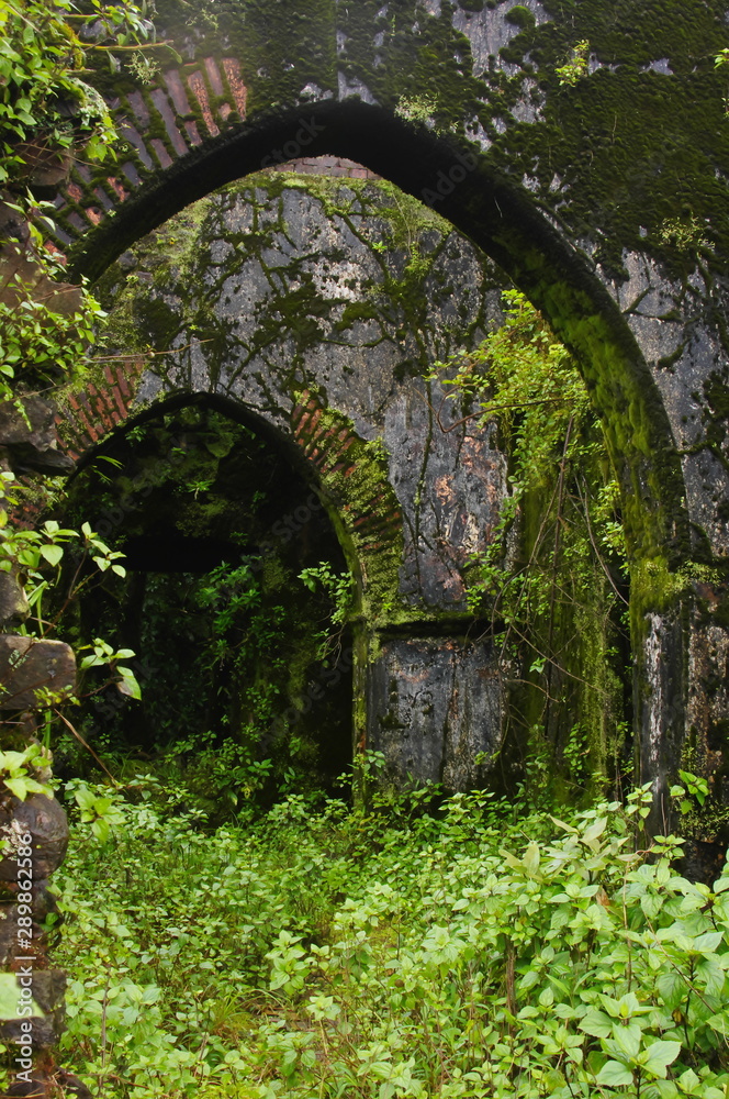 Abandoned Church in Forest, Kudremukh