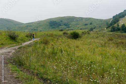 MouGreen lawn grass landscape in the caucasus mountains near kislowodsk, raw original picture