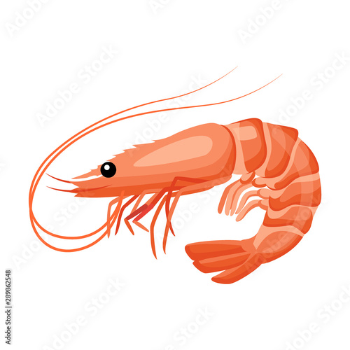 Shrimp icon in flat style, fresh sea food.