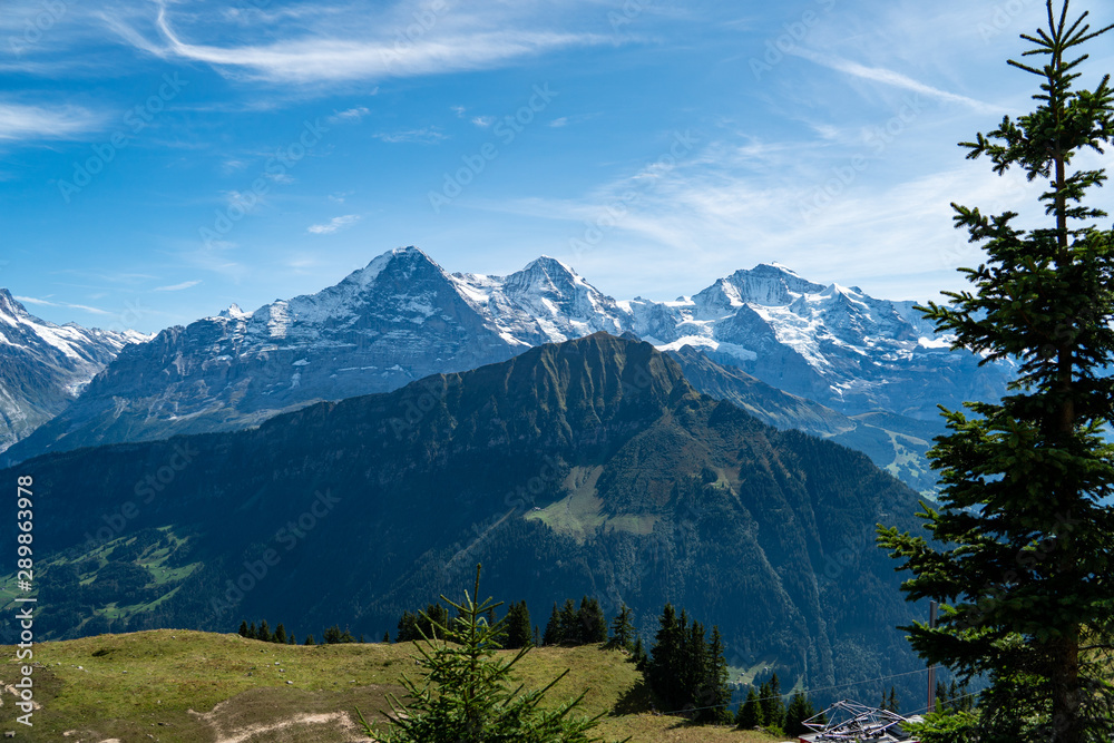 Aussicht auf Eiger, Mönch und Jungfrau von der Schynige Platte mit pinken Blumen im Vordergrund