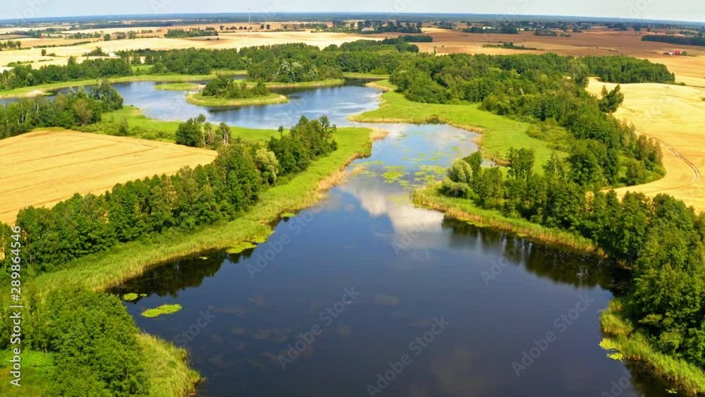 Stunning green forest and blue lake in summer, aerial view Stunning green forest and blue lake in summer, aerial view