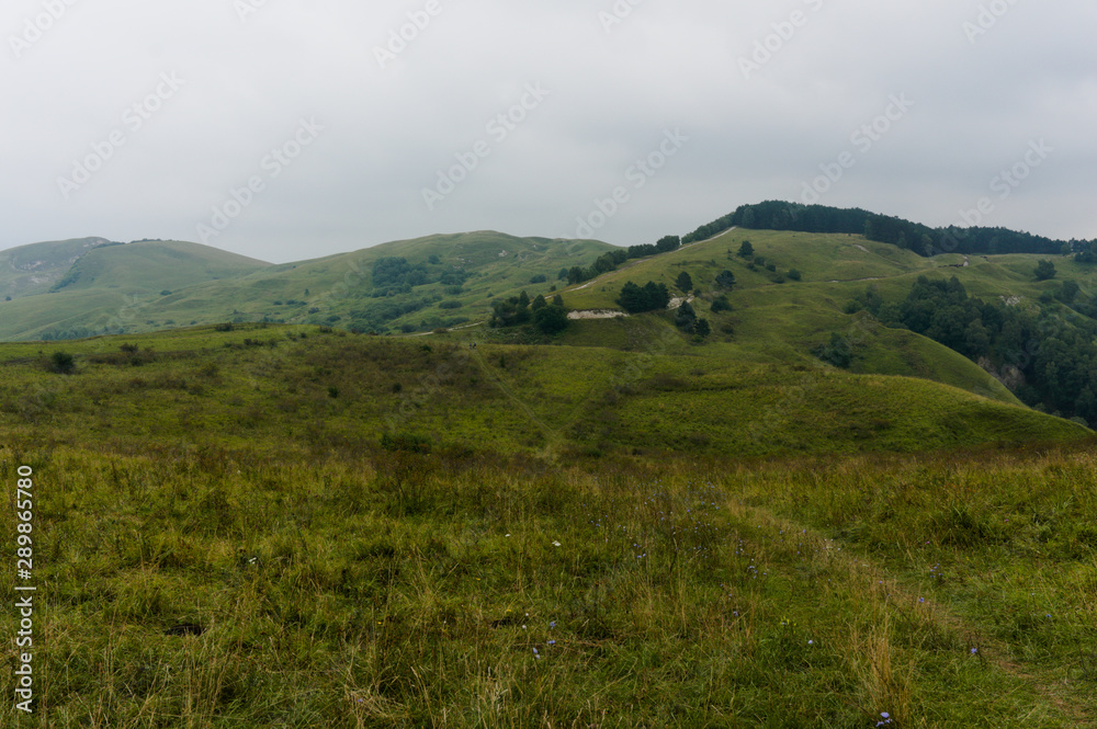 Obraz premium MouGreen lawn grass landscape in the caucasus mountains near kislowodsk, raw original picture