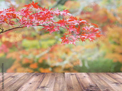 Wooden table top over maple leaves autumn background.