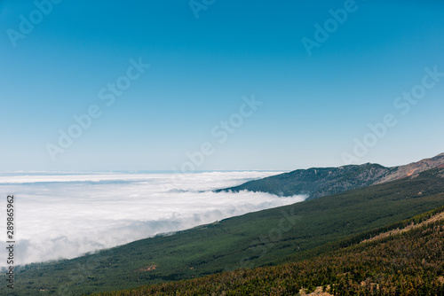 Postcards from Tenerife