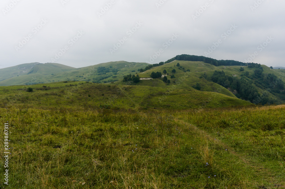 MouGreen lawn grass landscape in the caucasus mountains near kislowodsk, august 2019, raw original picture